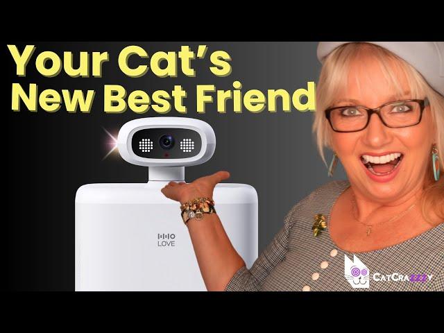 HHOLOVE O Sitter, The First Smart Companion AI Robot For Cats - We Reviewed It!