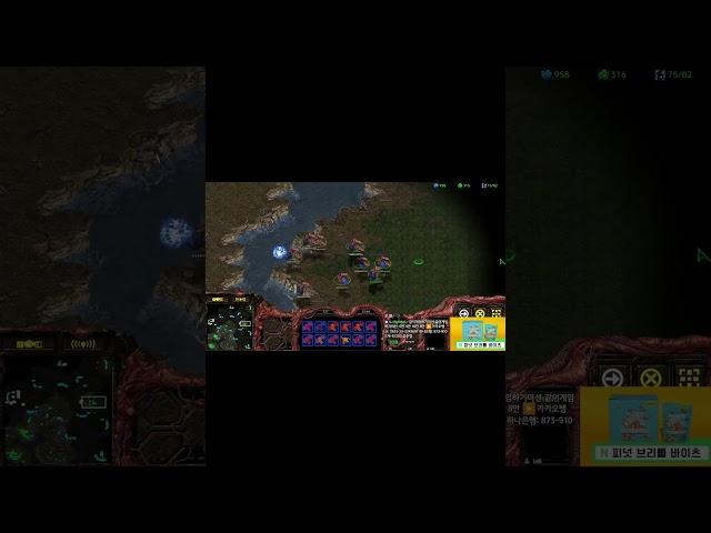 고인물의 미친 컨트롤 커세어 안무섭죠?? #shorts  Leto 스타팀플 헌터 Hunter TeamPlay StarCraft