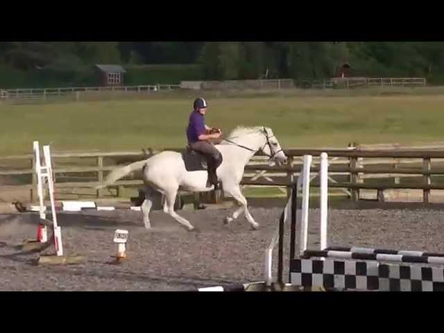 Andy Leigh jumping Aria at Snowball Farm Equestrian Centre with TakeBackTheReins