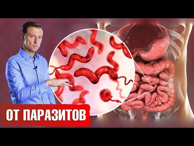 Лучшие травы от паразитов. Как избавиться от паразитов