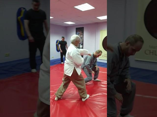 Занятия кунг фу в Москве. Цзыжань  #martialarts #new #video #selfdefense