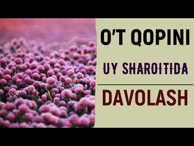 O't qopini kasalliklarini uy sharoitida davolash usullari