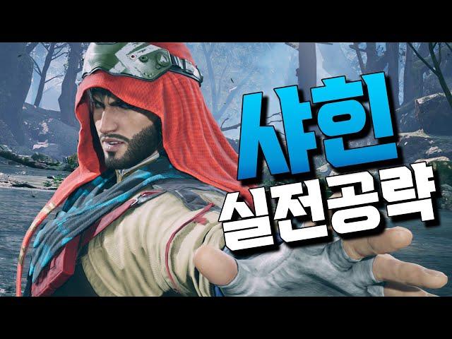 [철권8] 샤힌 실전강의! 대회 우승캐릭 성능은!? #tekken8 Shaheen