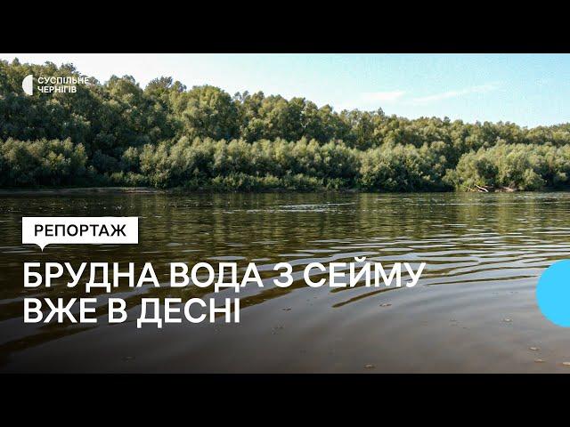 Брудна вода з Сейму вже в Десні: яка ситуація у Чернігові