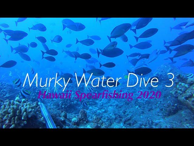 murky water dive 3 | Hawaii Spearfishing 2020 | Shooting Fish For Friends