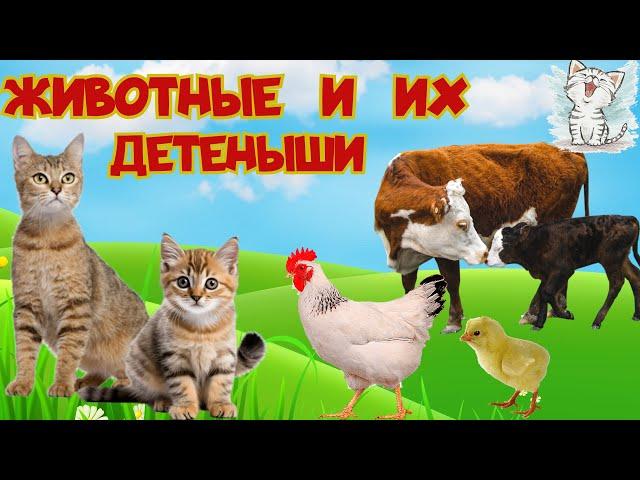 Домашние животные и их детеныши. Развивающее видео для детей