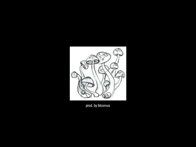 [FREE GUITAR LOOPS] pop punk guitar