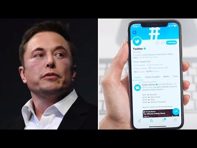 Elon Musk's New Ideas Are Destroying Twitter in Record Time, Bankruptcy Imminent?