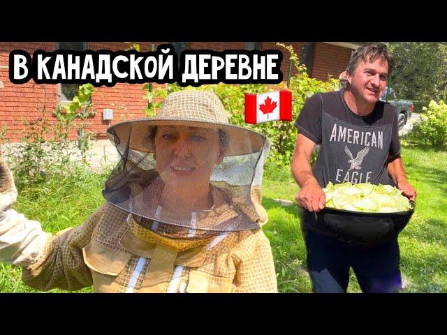 Жизнь в Канаде// канадская деревня