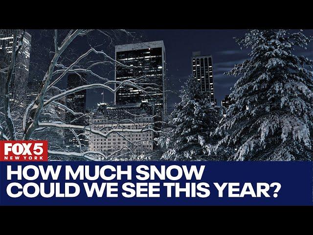 NYC winter 2024: How much snow could we see this year?