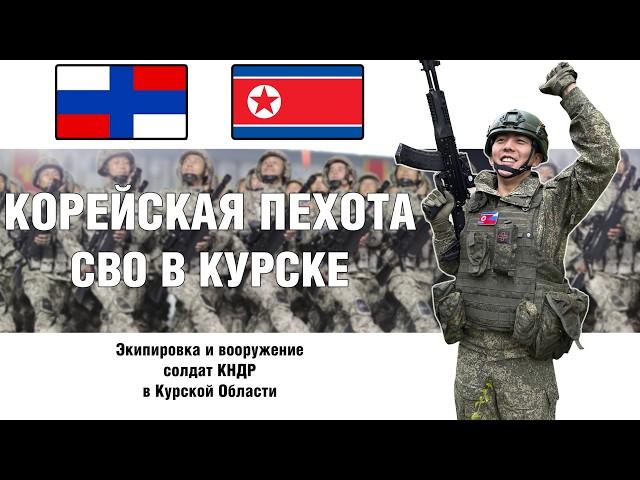 Korean infantry in Kursk | Equipment and weapons of the DPRK for THEIR SMO | MILITARY REVIEW
