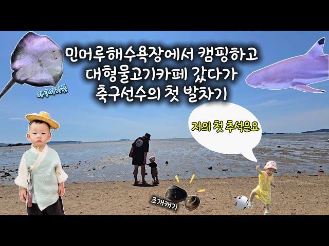 DLog | 해수욕장에서 캠핑하기 새로생긴 대형수족관카페 아쿠아리움을 그대로 가져온 일산아쿠아가든 추석일상