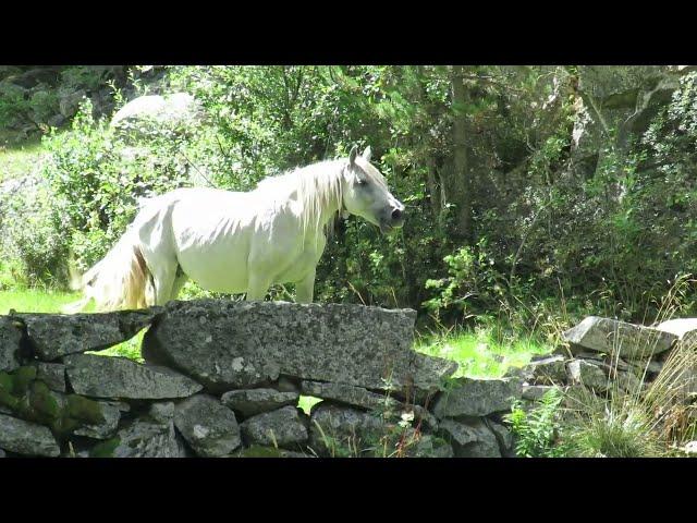 Madriu Perafita Claror, Fontverd