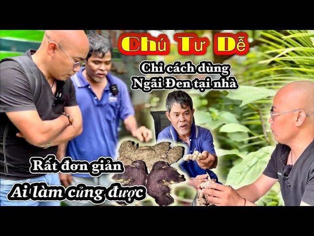 CHÚ TƯ DỄ chỉ cách dùng CỦ NGÃI ĐEN tại nhà mà ai cũng làm được một cách dễ dàng