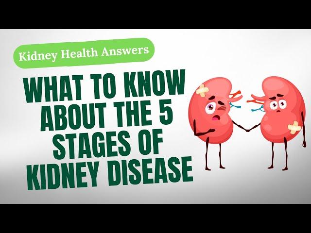 Everything To Know About The Stages Of Kidney Disease