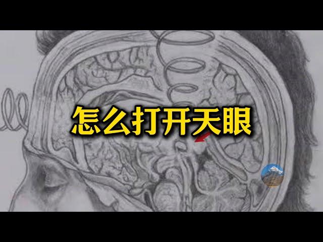 怎么打开天眼？天眼的原理是啥？为啥我不建议刻意打开天眼？无为法的好处是啥？