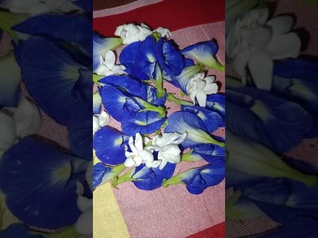 #flowers #minar #bangali_song_status