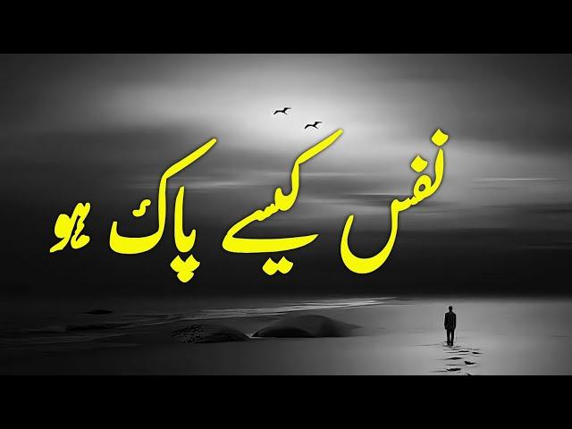 Nafs Kaise Paak Ho | Beautiful Spiritual Quotes | Listen the Islam Q.K