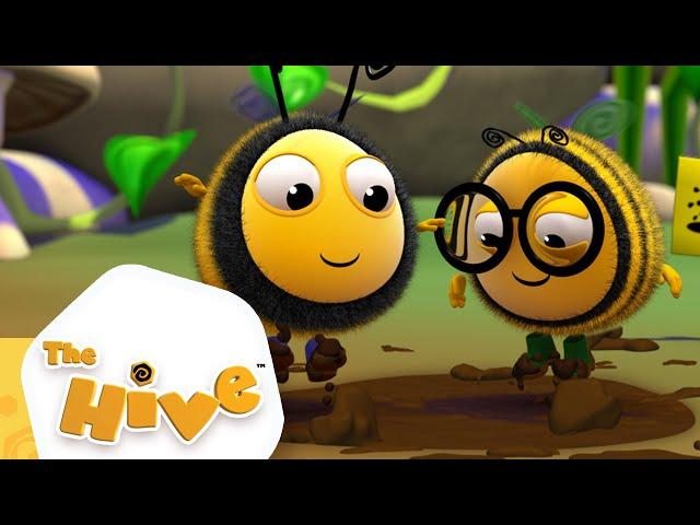 Rainy Day Fun | The Hive Full Episodes | The Hive Official