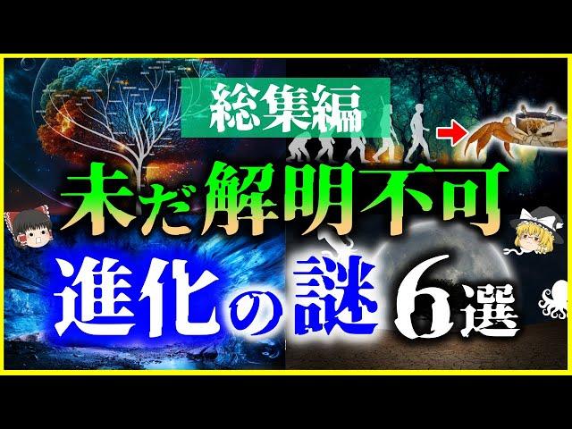 【ゆっくり解説】【総集編】ガチで眠れなくなる「生物進化」の謎６選を解説/ミッシングリンク、収斂進化、系統樹、生命起源【作業用】【睡眠用】