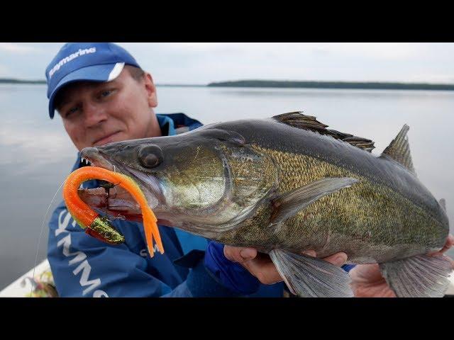 Jak łowić na Vertical jigging sandacze | przynęta jaskółka Gunki | Axiom Raymarine - wertikal