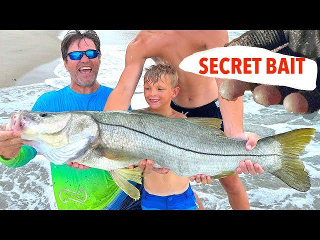 SECRET BAIT CATCHES MONSTER SNOOK AND TARPON ON THE BEACH