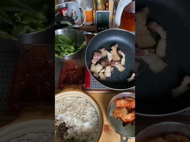 외딴 섬 경차 차박2 remote island small car camping