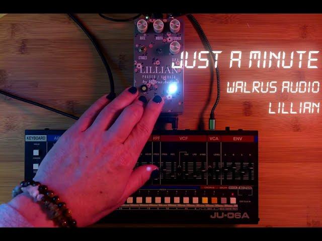 Just a Minute - Walrus Audio Lillian + synth