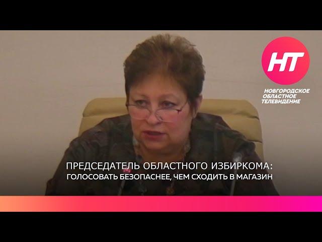 Татьяна Лебедева уверена, что голосовать безопаснее, чем сходить в магазин