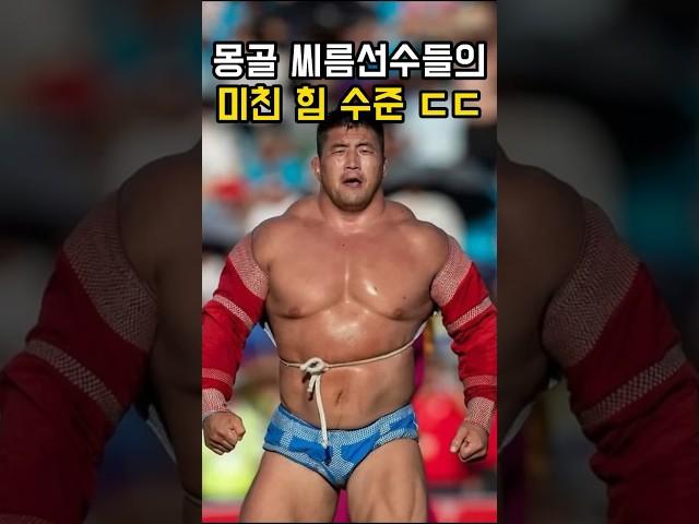 몽골 씨름선수 힘 수준 ㄷㄷ