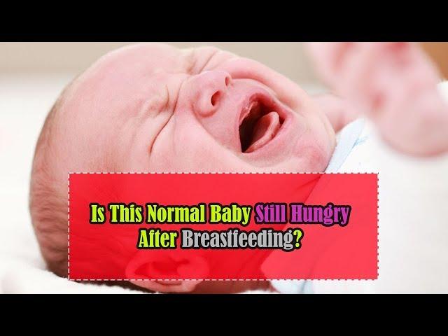 My Baby is Hungrier Than Usual | Is This Normal Baby Still Hungry After Breastfeeding?