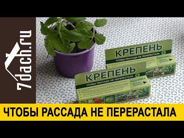  Чтобы рассада не перерастала: как применять "Крепень". Обзор - 7 дач