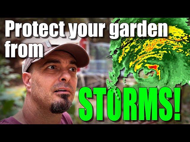 5 Ways to protect your garden from weather! - STORMS are coming!