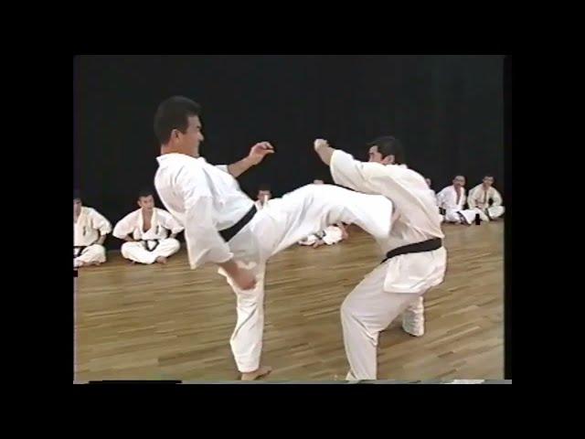 Powerful front kick by Kaicho Hatsuo Royama