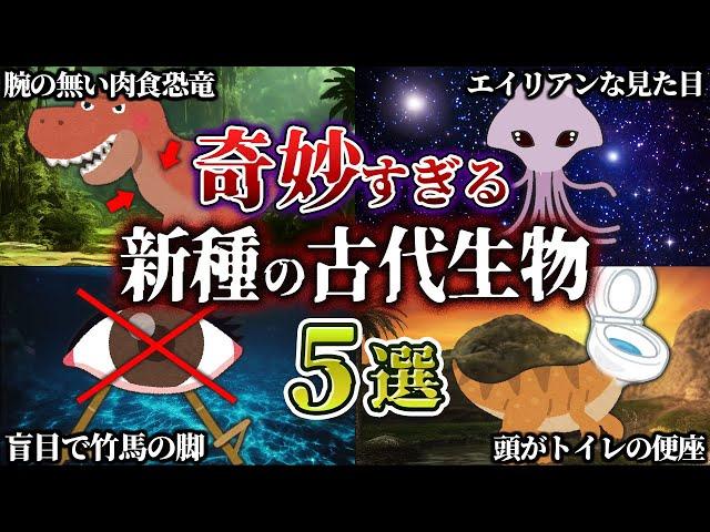 【ゆっくり解説】腕の無い肉食恐竜？！新たに発見された奇妙すぎる古代生物たち