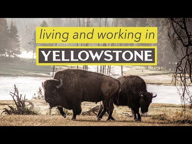 My Internship in Yellowstone | Summer in Selfies