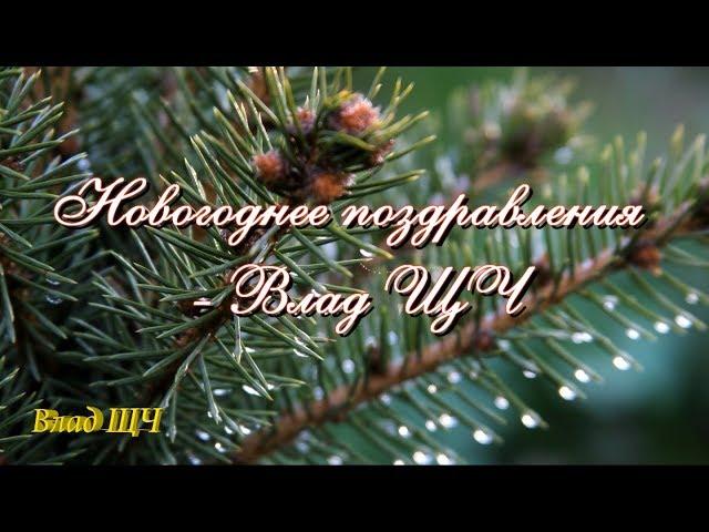 New Year's greetings - Vlad ShchCh