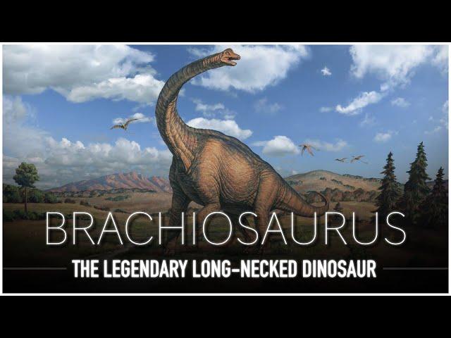 Brachiosaurus: One Of The LARGEST Animals to Ever Exist | Dinosaur Documentary