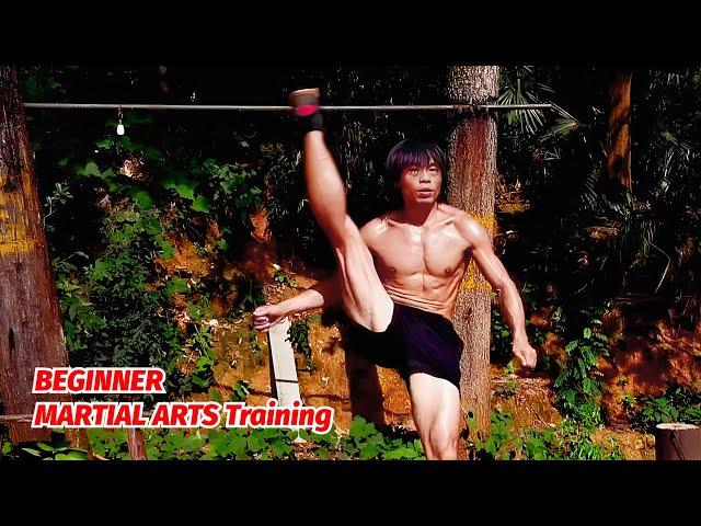 KUNGFU MARTIAL ARTS Basic Training Workouts #fitness #workout #martialarts