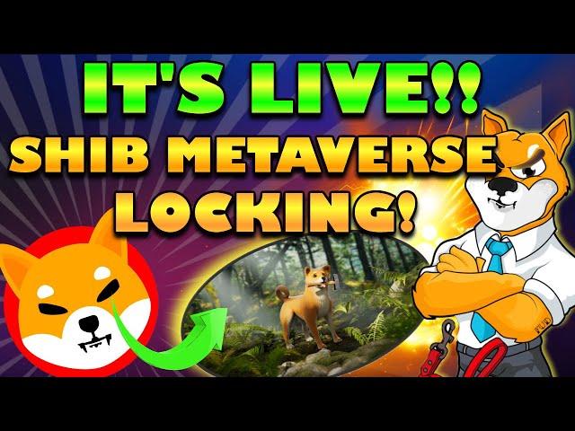 IT'S LIVE Shiba Inu Metaverse Locking Features Are LIVE!! LEASH & SHIBOSHI Locker!