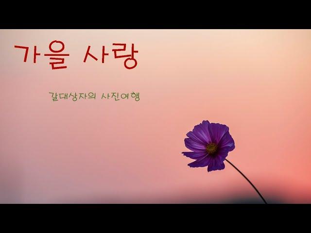 가을 사랑