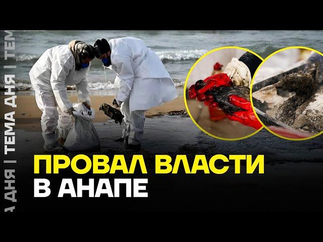 Катастрофа в Чёрном море. Люди сами убирают пляжи Анапы, пока власть бездействует