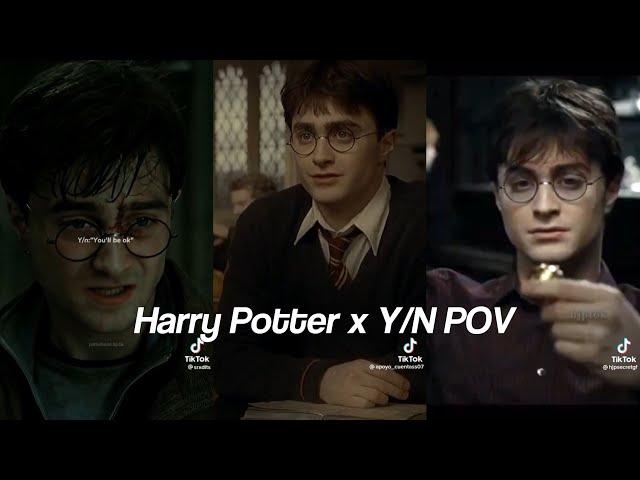 Harry Potter *himself x Y/N TikTok POV