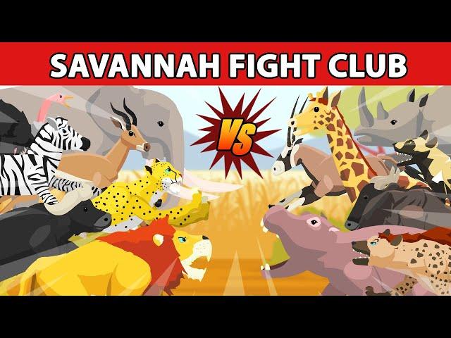 Savannah Fight Club [S1] | Animal Animation