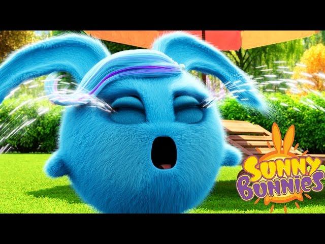 Videos For Kids | Sunny Bunnies SUNNY BUNNIES CRYING BUNNY | Funny Videos For Kids