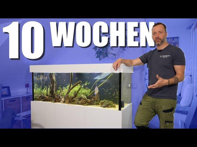 160x60x60 Süßwasser - So verlief der START!