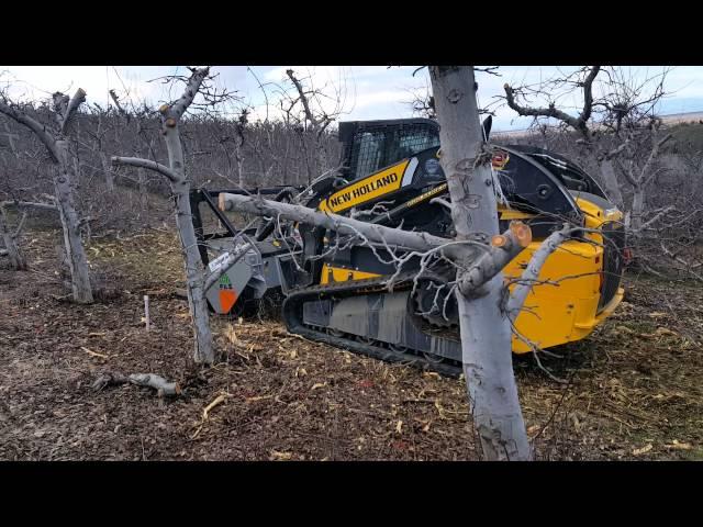 FAE Skid steer Mulcher on a New Holland C232