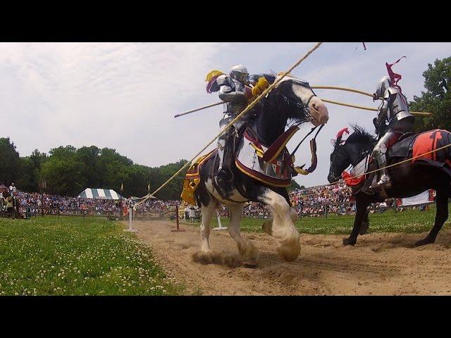 Wild SideTV-Jousting Horses