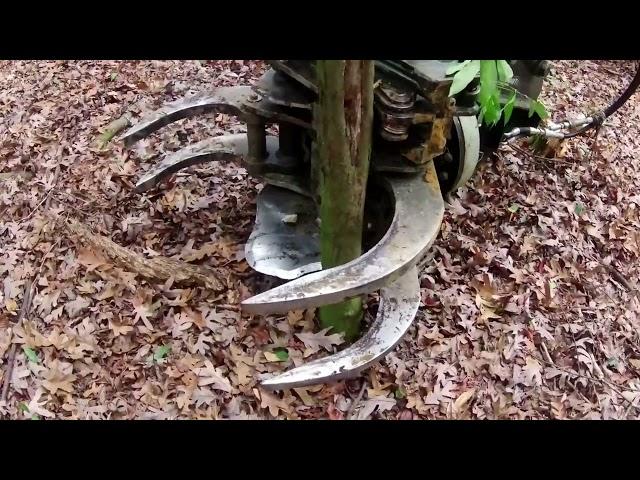 Excavator with tree shear. Removing unwanted trees