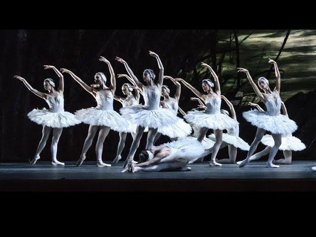 Darcey Bussell the challenges of dancing as a Swan (The Royal Ballet)